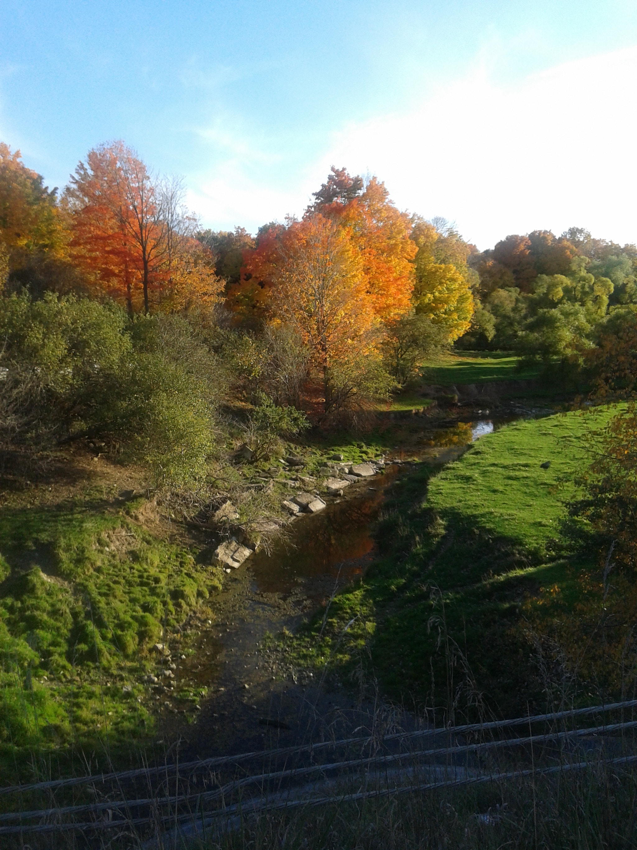 Samsung Galaxy Core sample photo. Beautiful colours photography