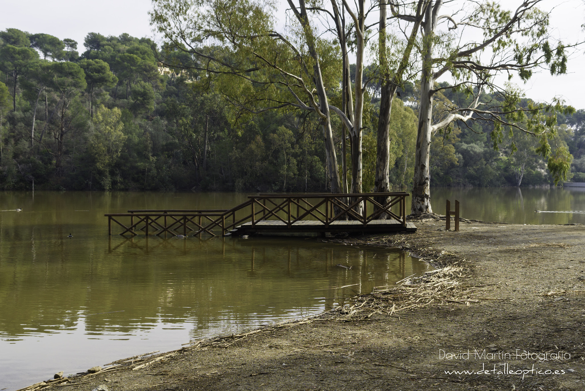 Nikon D810 sample photo. Lago de las tortugas. photography