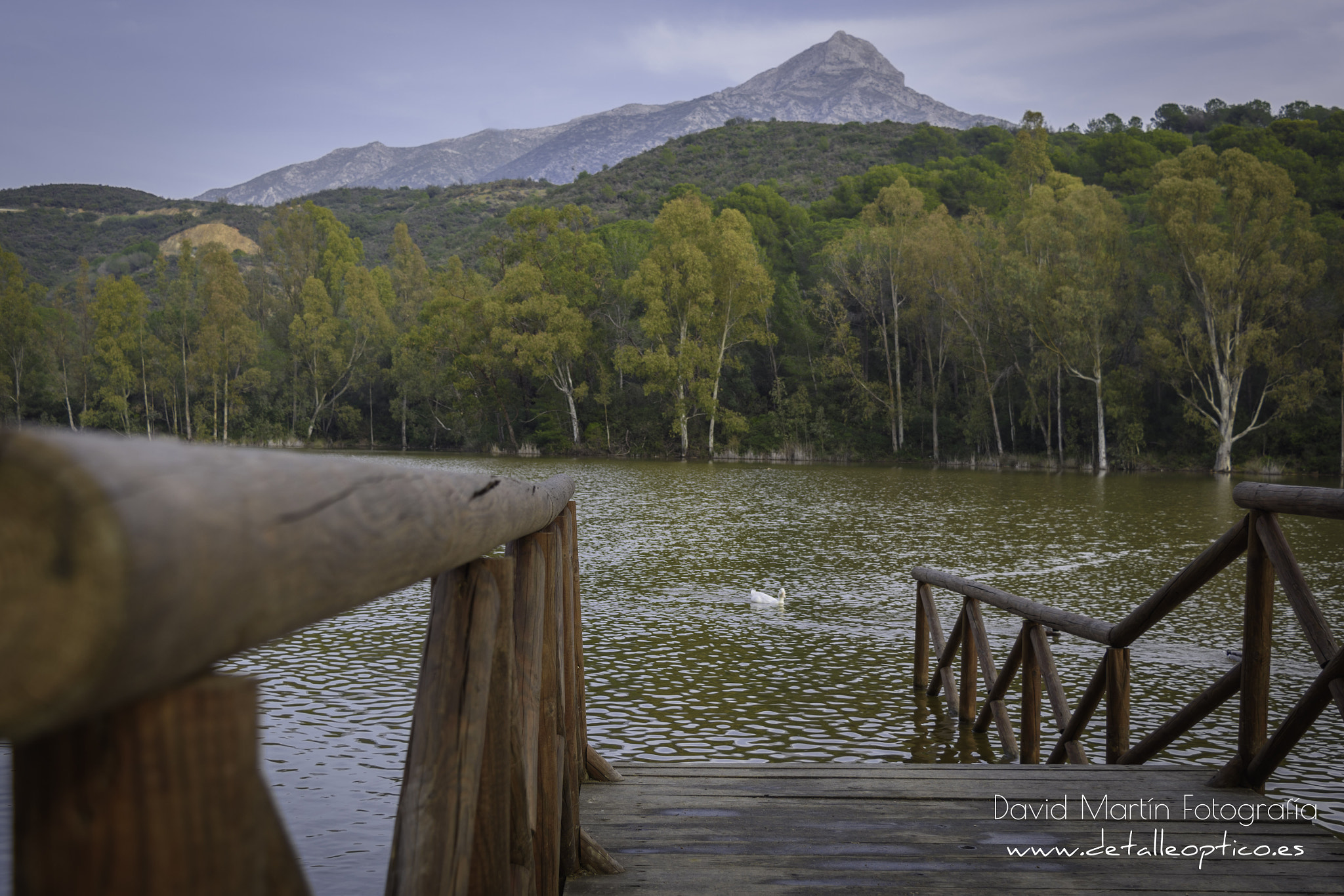 Nikon D810 sample photo. Lago de las tortugas. photography