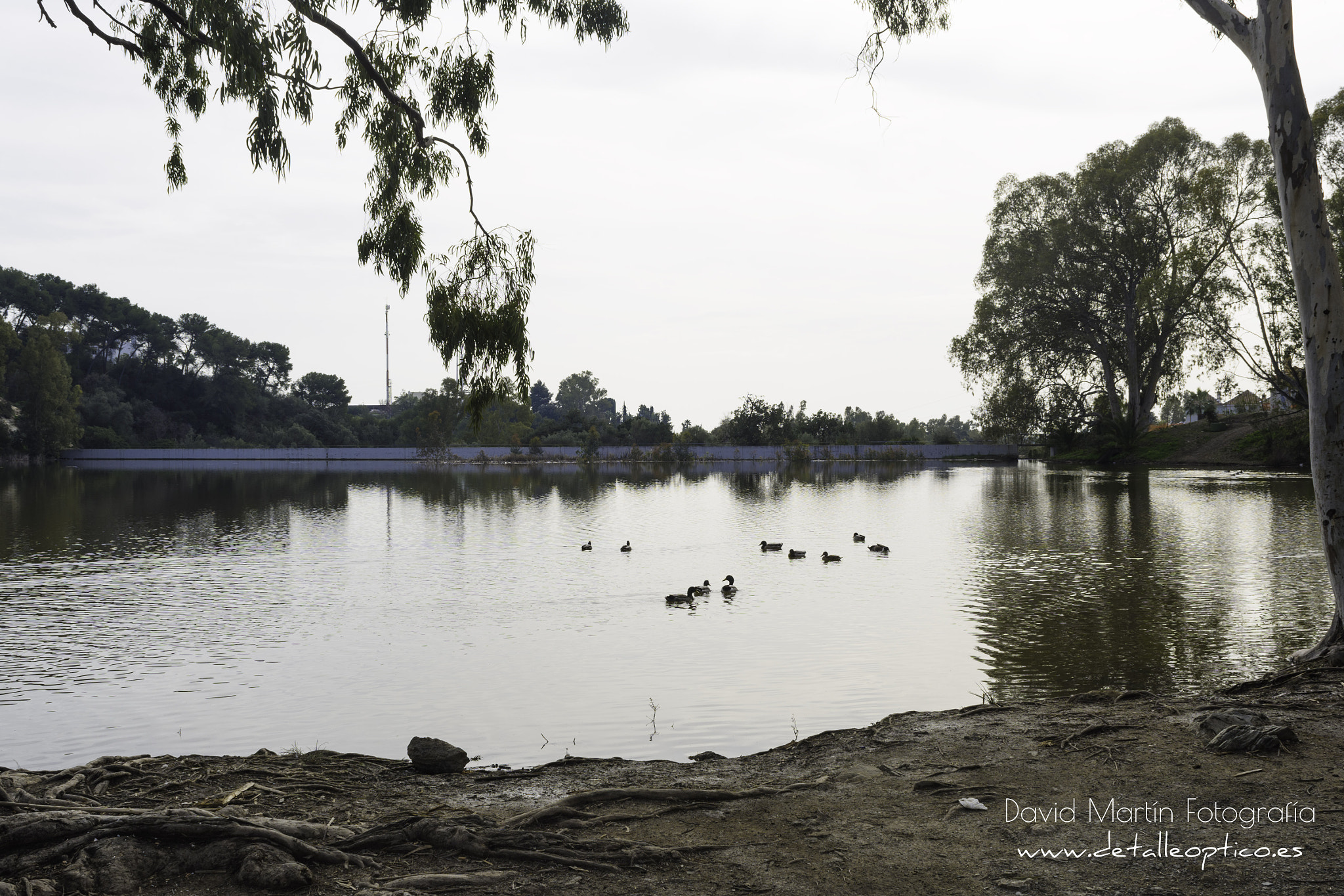 Nikon D810 sample photo. Lago de las tortugas. photography