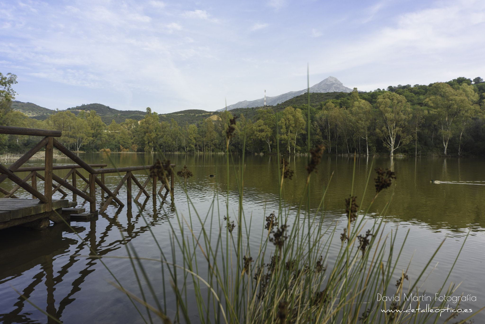 Nikon D810 + Sigma 12-24mm F4.5-5.6 EX DG Aspherical HSM sample photo. Lago de las tortugas. photography