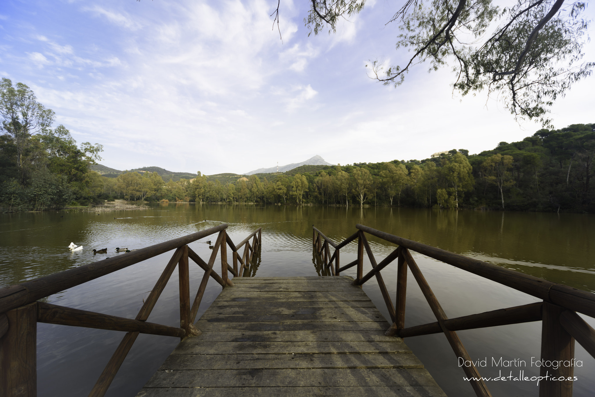 Nikon D810 + Sigma 12-24mm F4.5-5.6 EX DG Aspherical HSM sample photo. Lago de las tortugas. photography