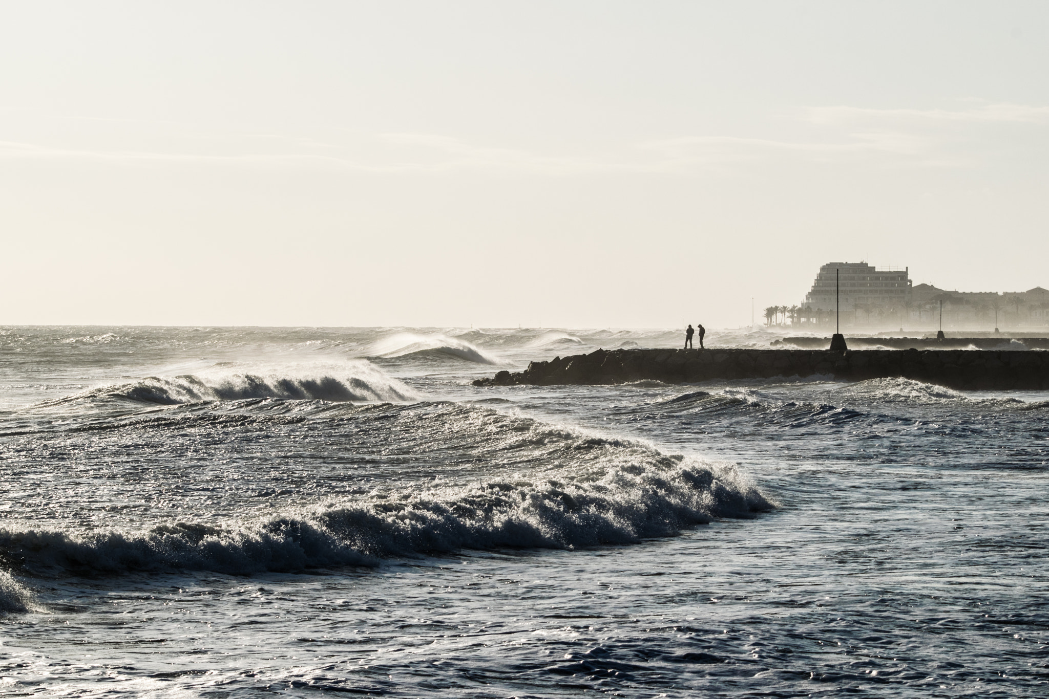 Nikon D3300 + Sigma 80-400mm F4.5-5.6 EX OS sample photo. Windy day photography