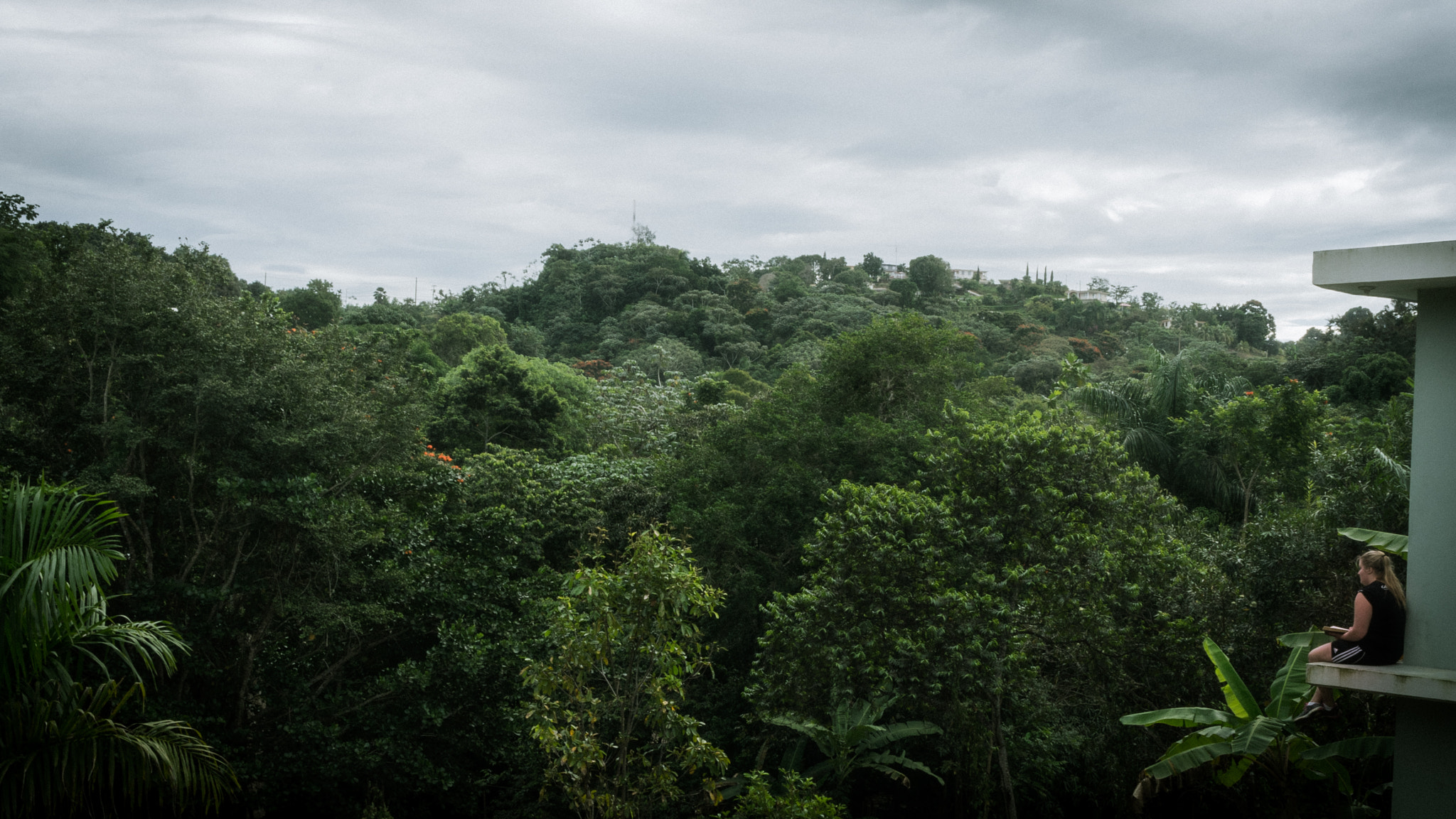 Sony a7 II + Sony E 18-55mm F3.5-5.6 OSS sample photo. Jungle girl photography