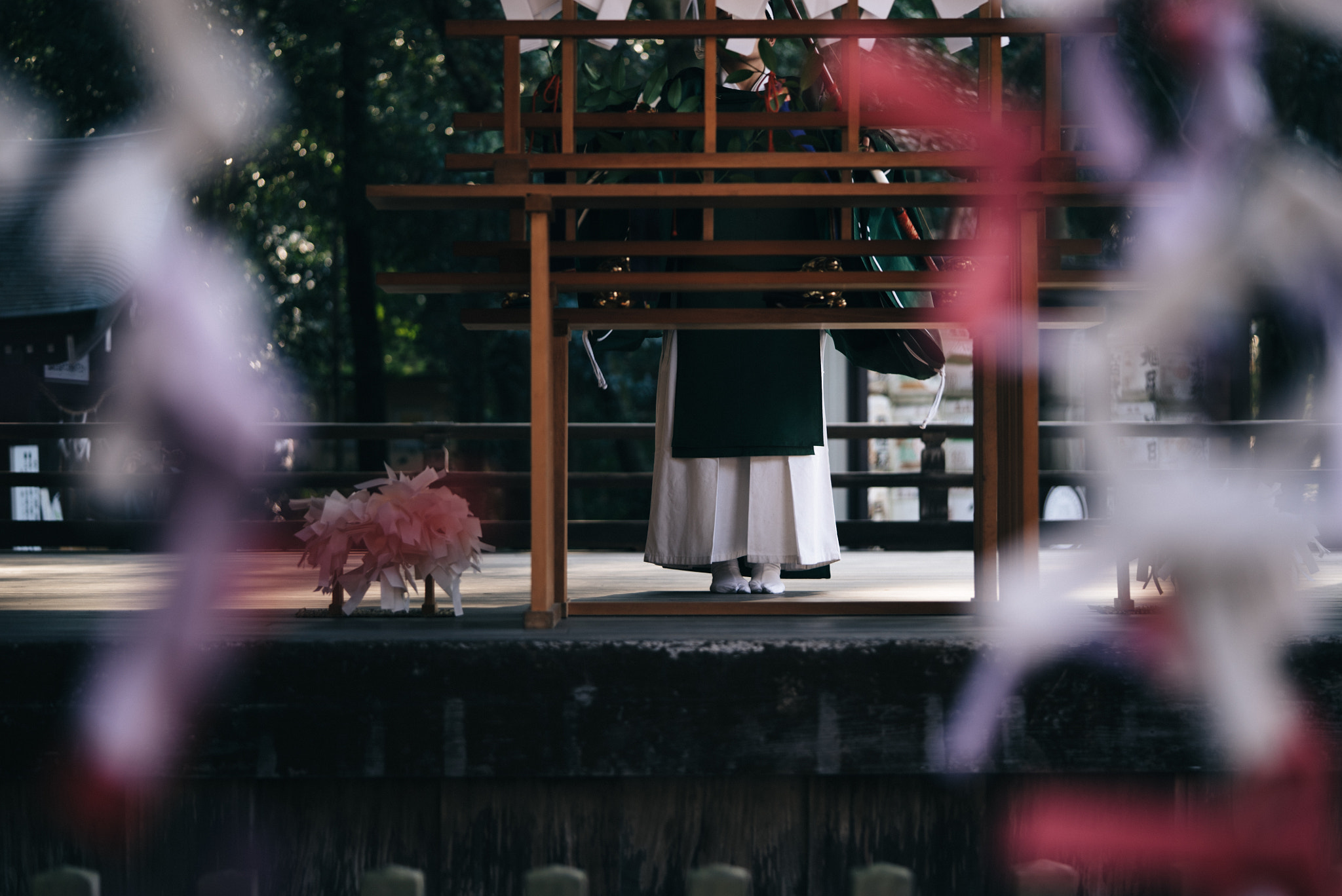 Sony a7S + Sony FE 90mm F2.8 Macro G OSS sample photo. Taga-taisha japan photography