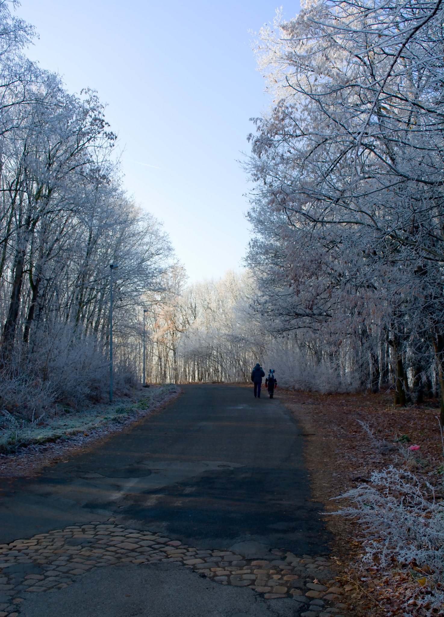 18.00 - 55.00 mm f/3.5 - 5.6 sample photo. Into the fairytale photography