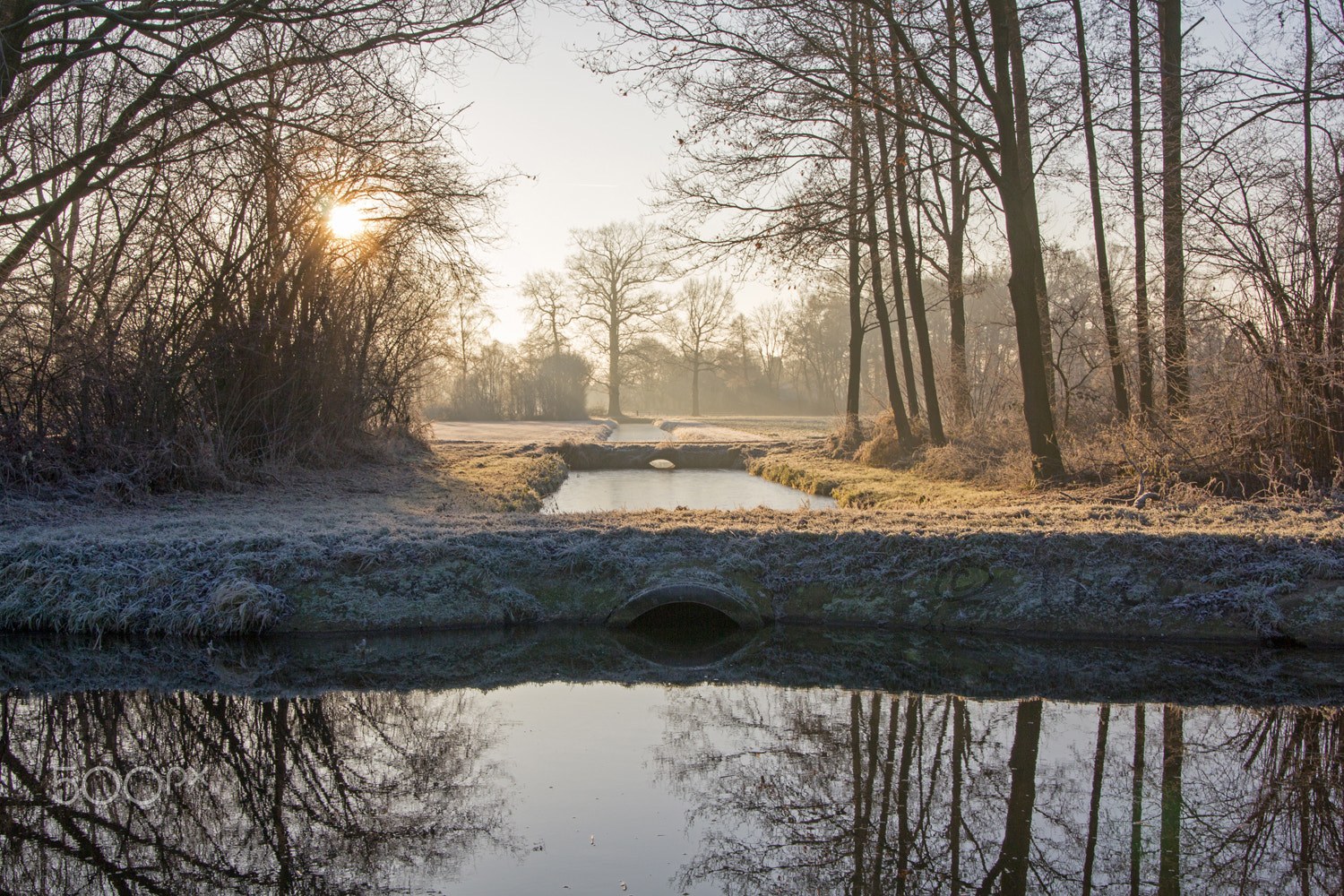 Canon EOS 60D sample photo. Keizersbeek photography
