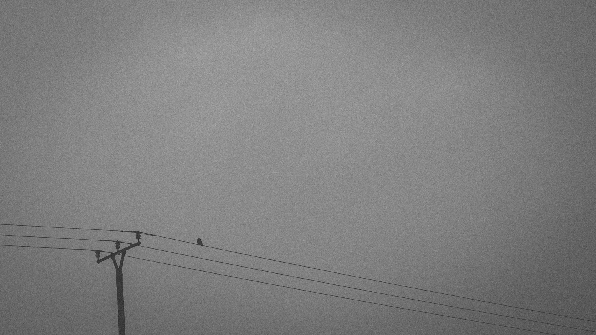 Sigma 50mm F1.4 EX DG HSM sample photo. Winter photography