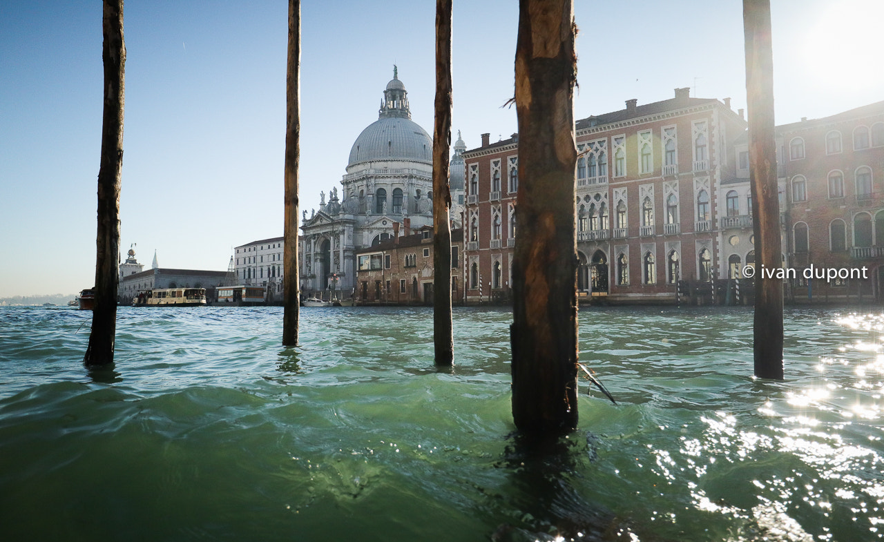 Canon EF-M 11-22mm F4-5.6 IS STM sample photo. Il canal grande e la basilica di santa maria della salute, venezia, italia venezia, italia photography