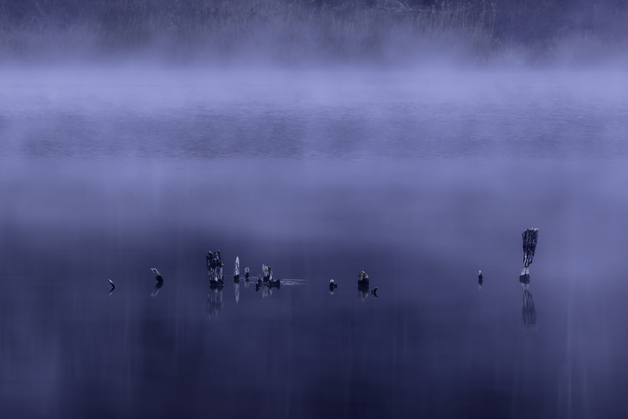 150-600mm F5-6.3 DG OS HSM | Contemporary 015 sample photo. Misty morning photography