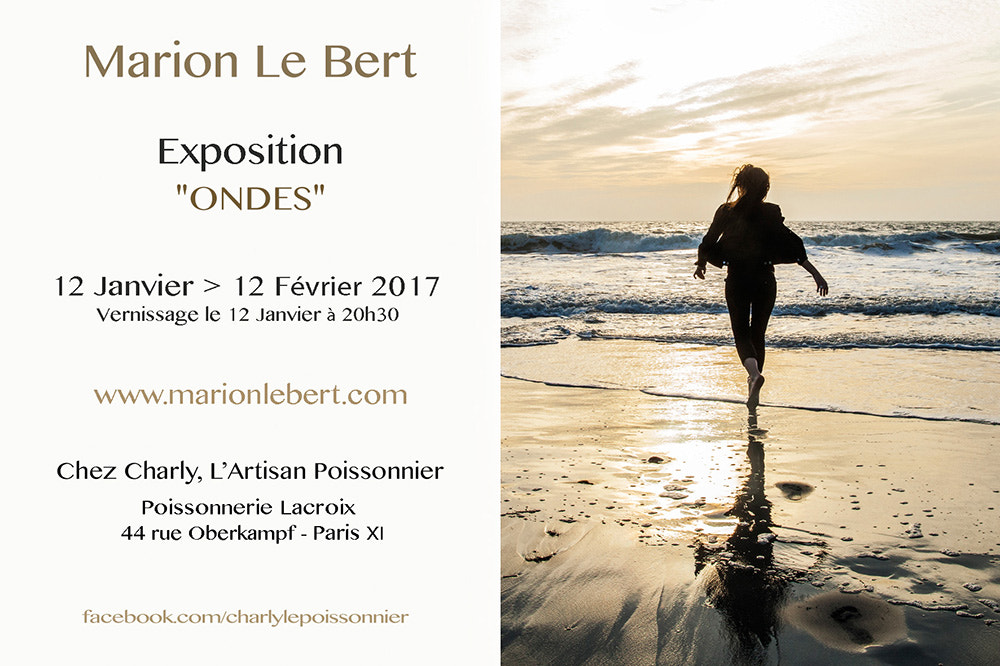 Canon EF 24mm F1.4L II USM sample photo. Expo "ondes" / paris photography