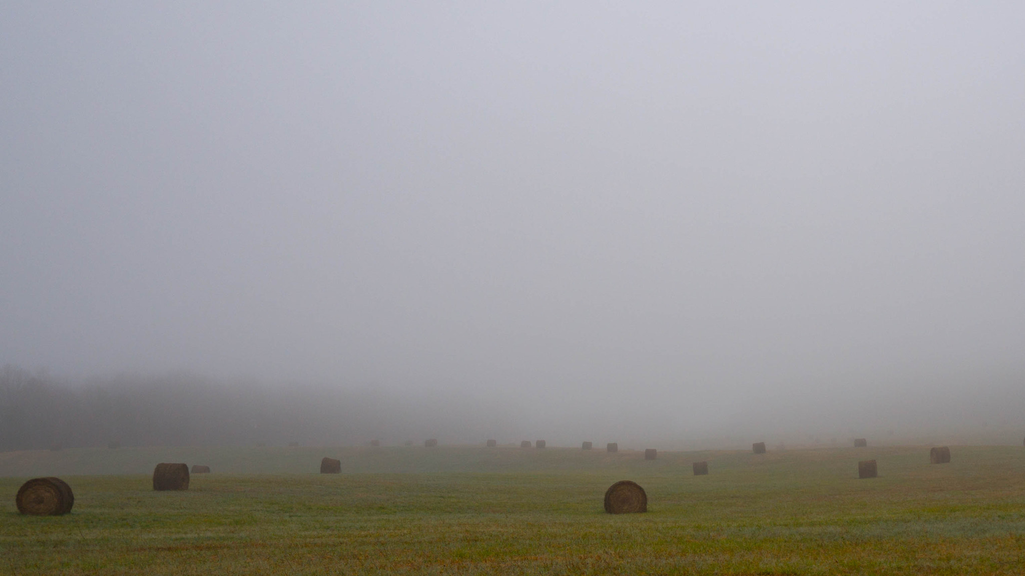 Sony Alpha NEX-6 + Sigma 19mm F2.8 EX DN sample photo. Hey fog photography