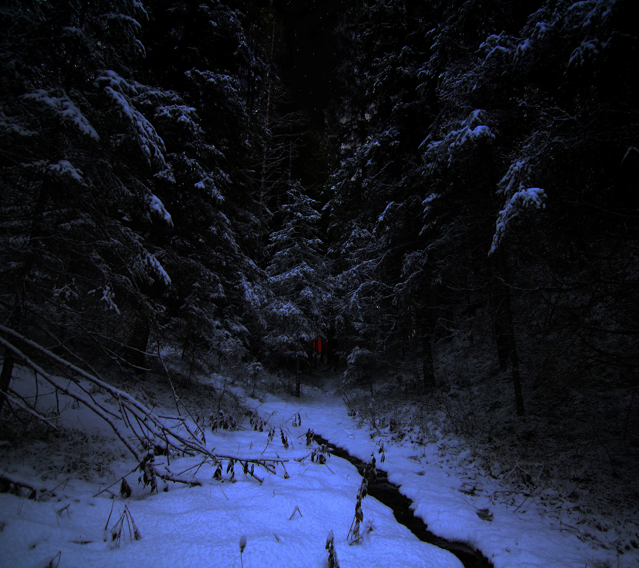 Canon EOS 760D (EOS Rebel T6s / EOS 8000D) sample photo. Dark winterland photography