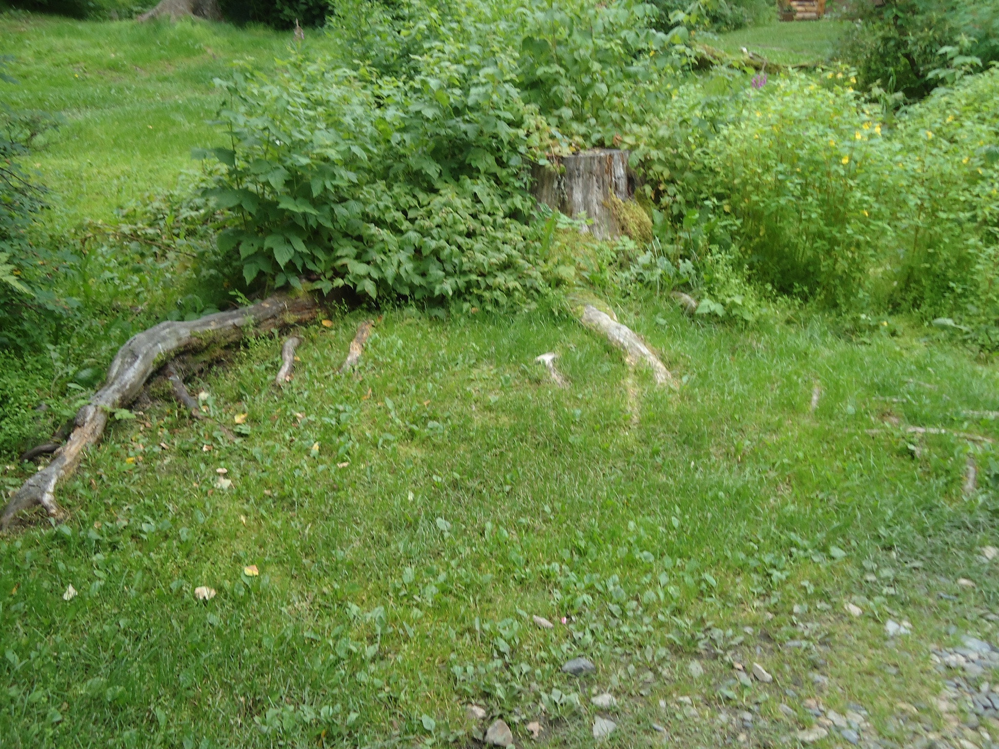 Sony Cyber-shot DSC-W330 sample photo