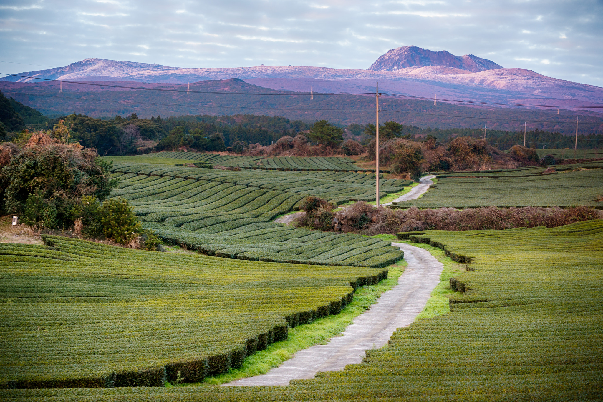 Nikon D800 sample photo. Halla mountain photography