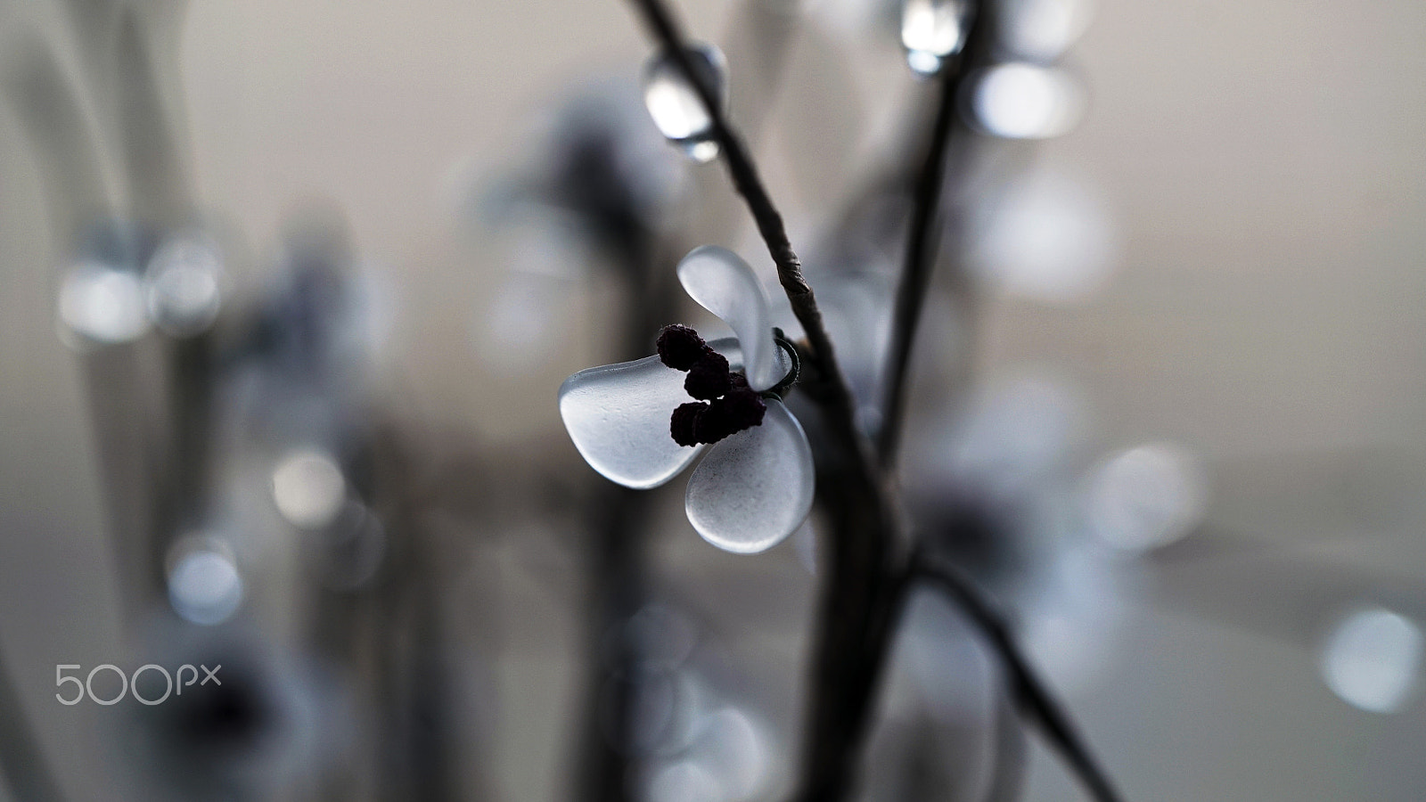 Sony a7S II + Sony FE 90mm F2.8 Macro G OSS sample photo. Crystalline photography