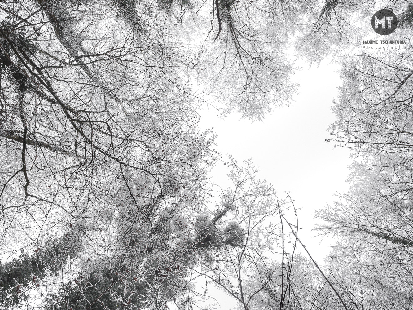 Canon EF 24mm F2.8 IS USM sample photo. Winter composition photography