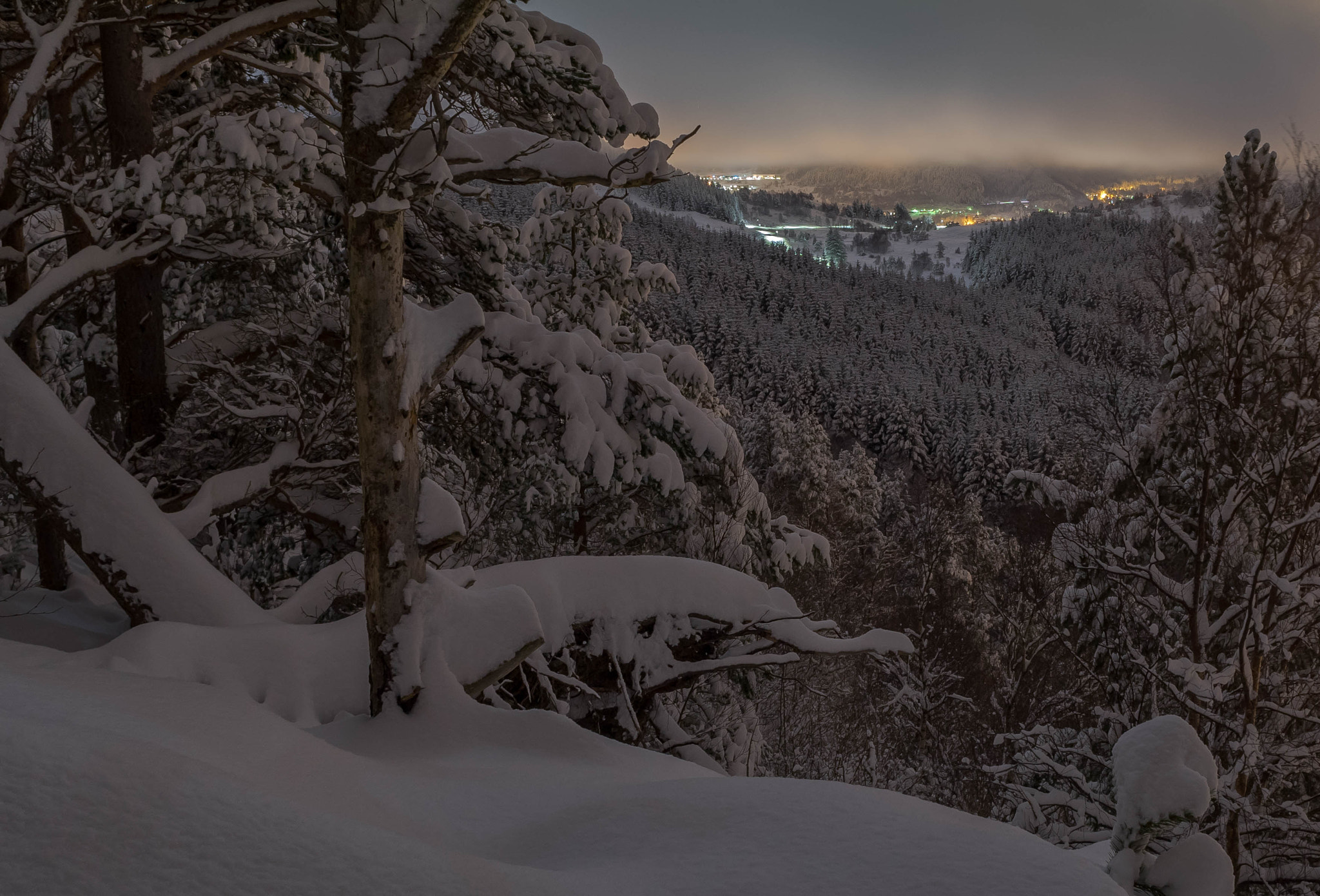 Sony a7 II + Canon TS-E 24mm f/3.5L sample photo. Precious moments photography
