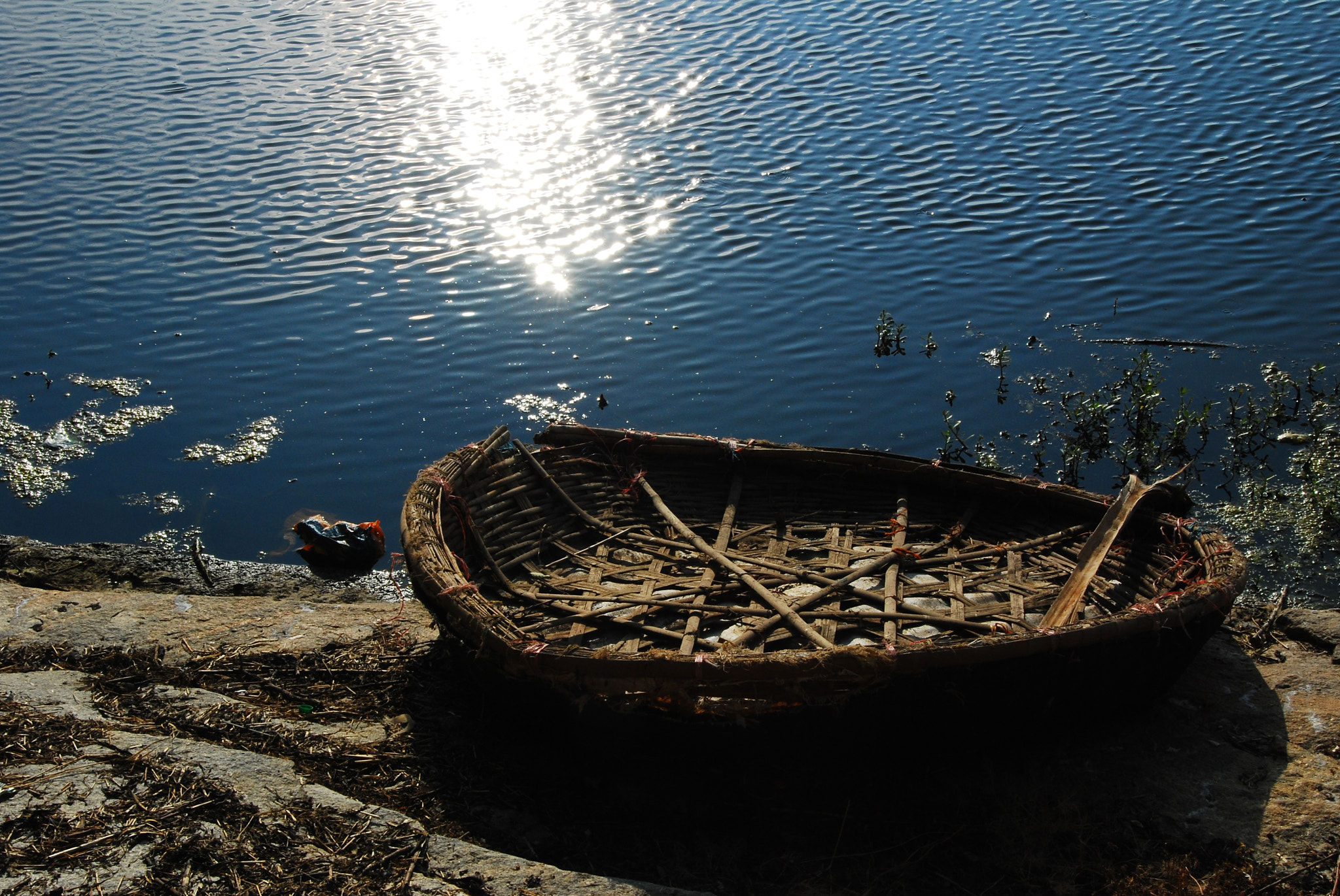 Nikon D40X sample photo. Nature photography