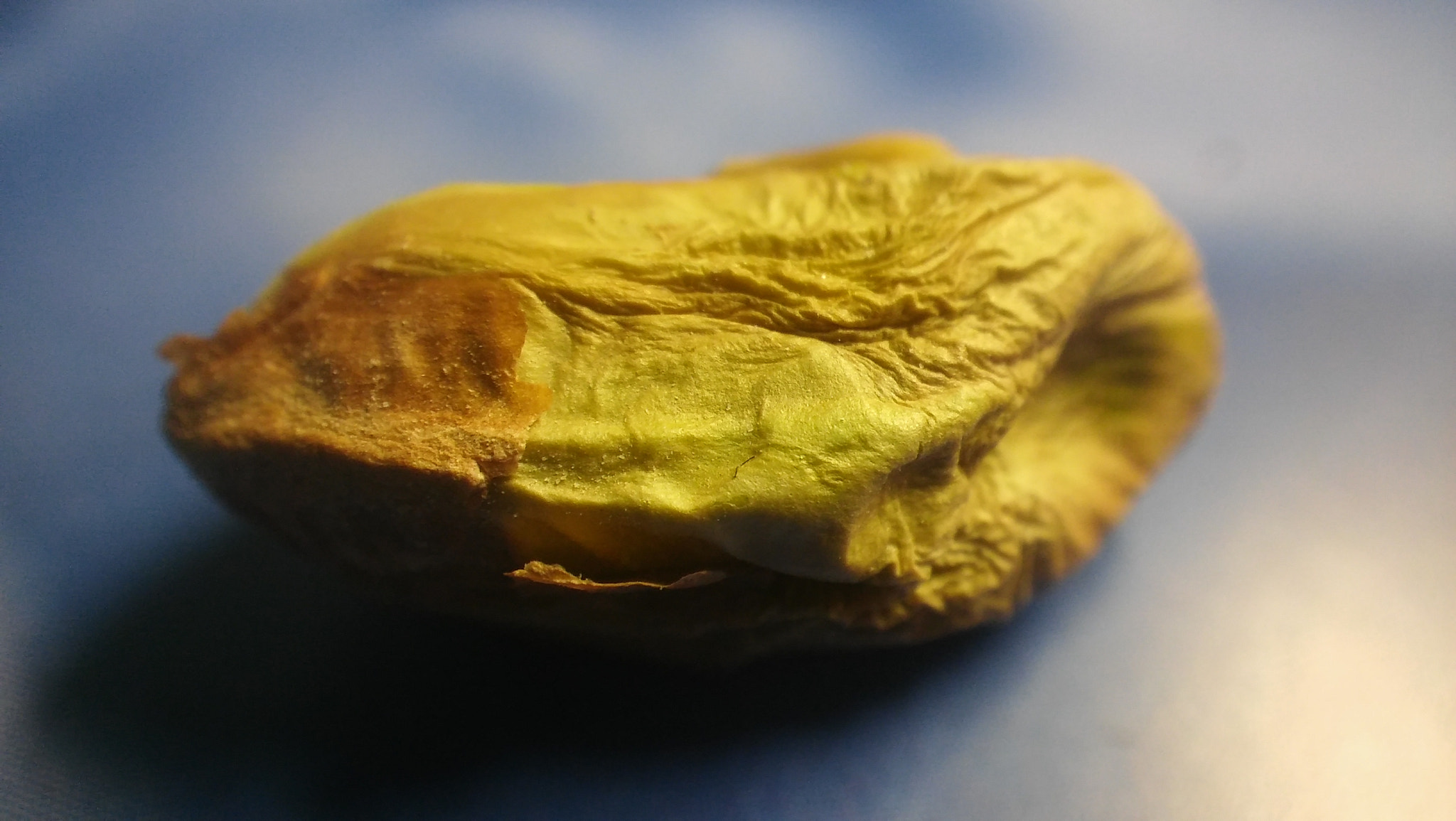 LG SPIRIT 4G LTE sample photo. Pistachio photography