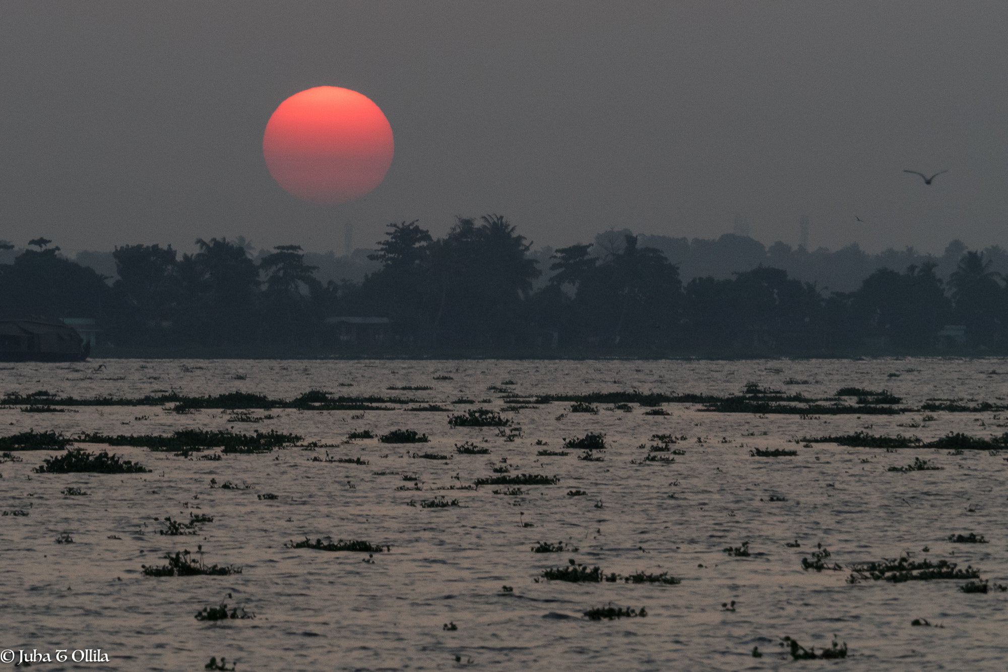 Olympus OM-D E-M1 sample photo. Kerala backwater sunset photography