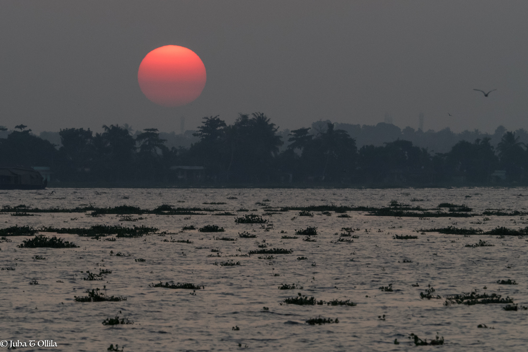 Olympus OM-D E-M1 + Olympus M.Zuiko Digital ED 40-150mm F2.8 Pro sample photo. Kerala backwater sunset photography