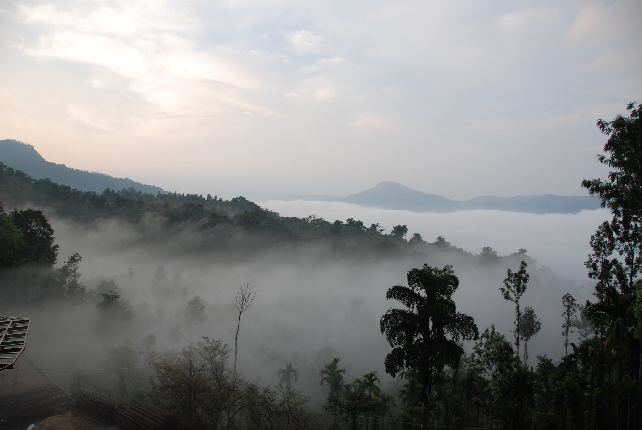 Nikon D40X sample photo. Nature photography