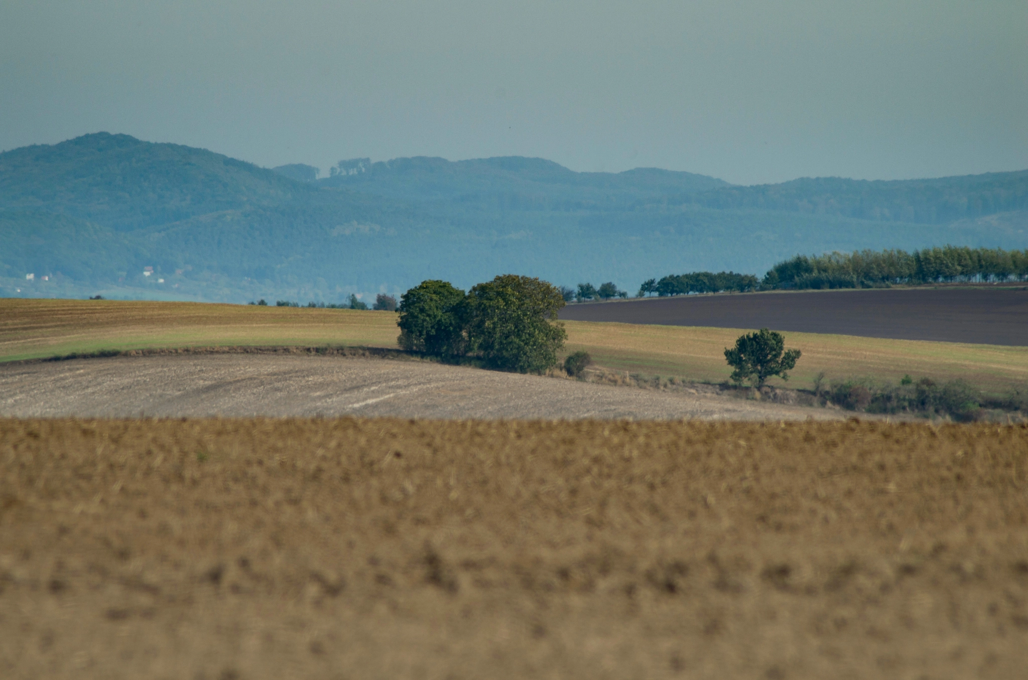 Tamron AF 70-300mm F4-5.6 LD Macro 1:2 sample photo. Autumn vii photography