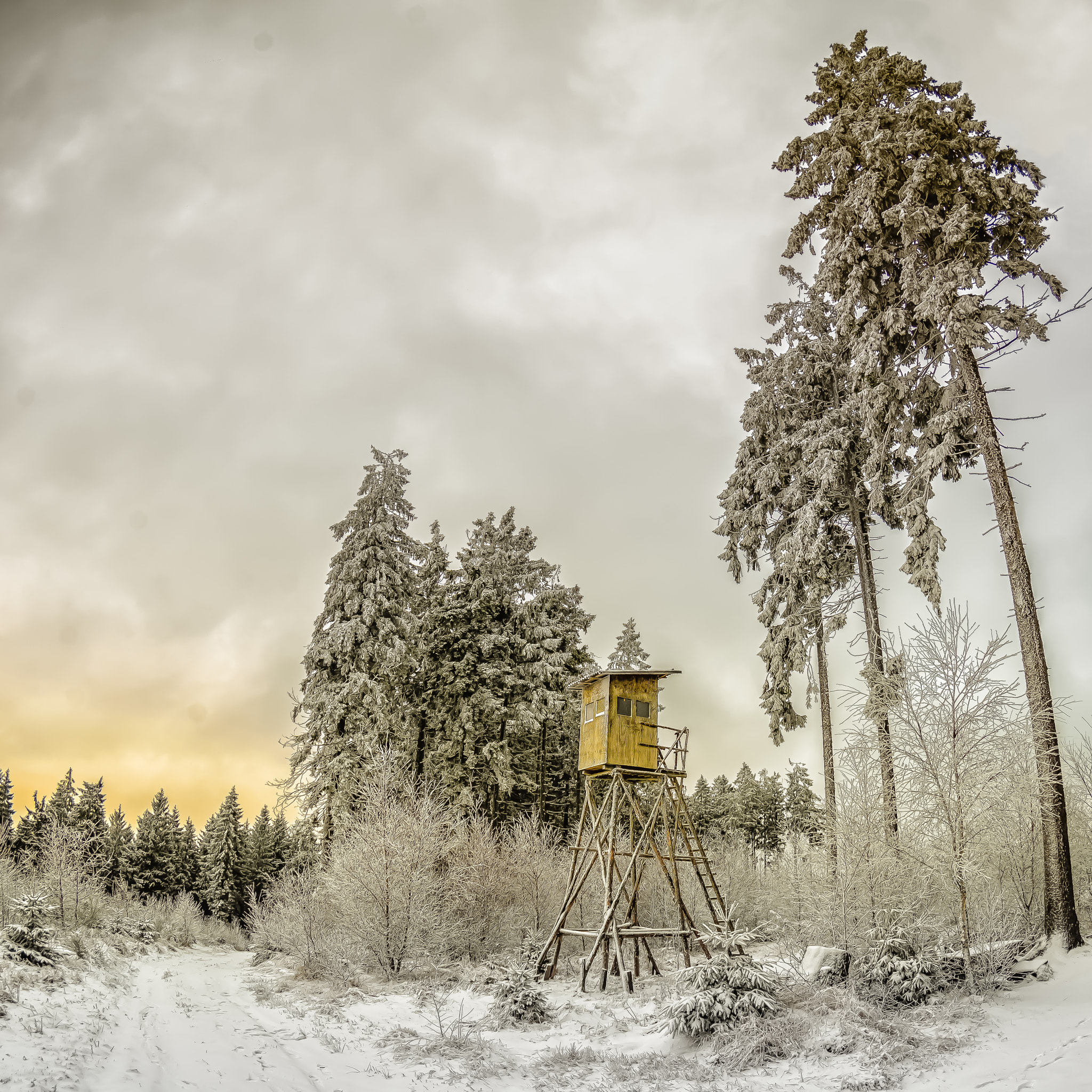 Tokina AT-X 10-17mm F3.5-4.5 DX Fisheye sample photo. Wächter im schnee photography