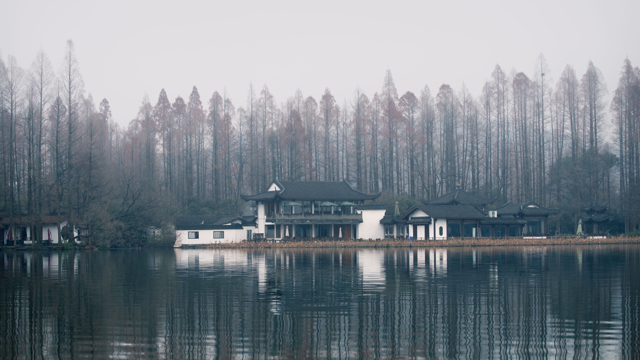 Sony a7 II + Canon EF 70-200mm F4L USM sample photo. Hangzhou, china photography
