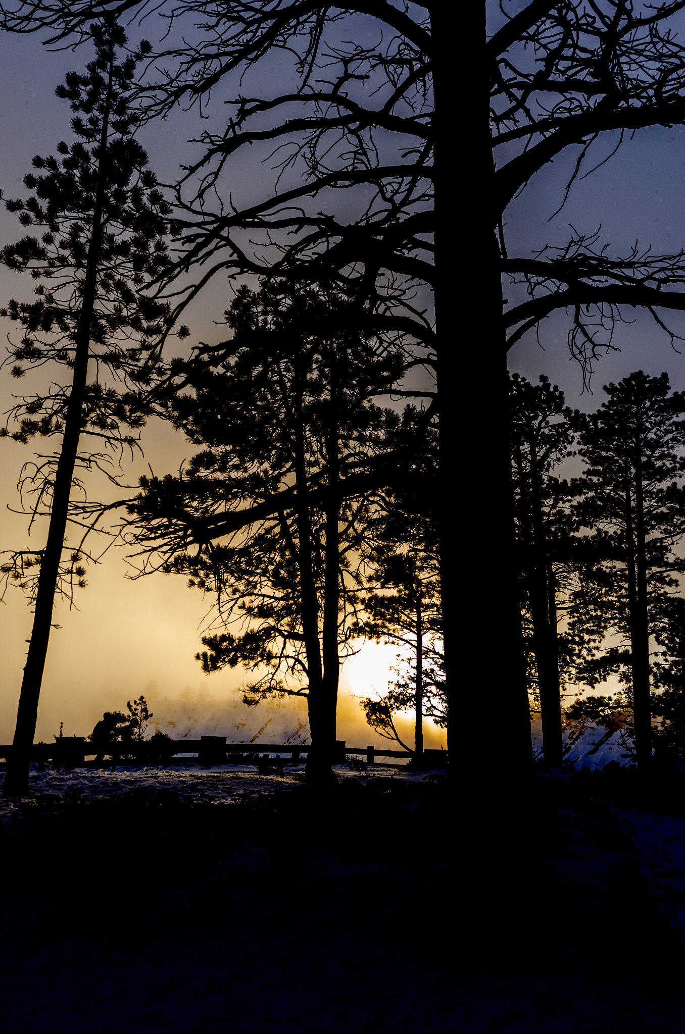 Nikon AF-S Nikkor 14-24mm F2.8G ED sample photo. Misty evening sunset photography