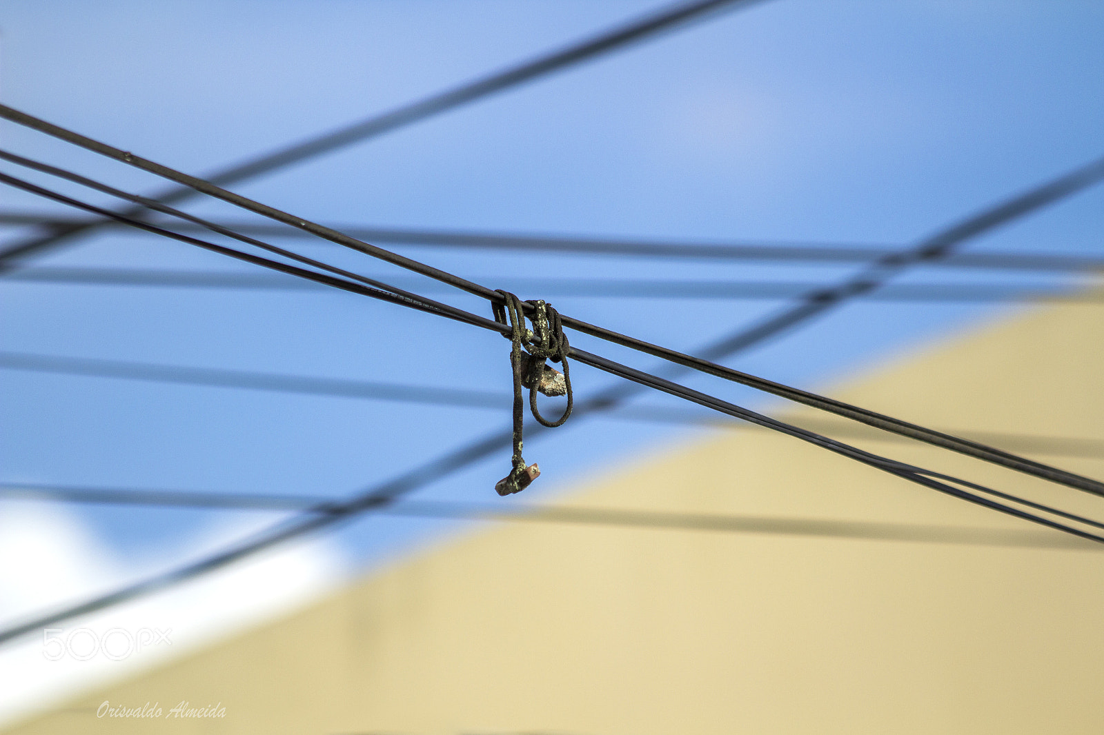 Canon EF 70-300mm F4-5.6 IS USM sample photo. Emaranhado de fios photography