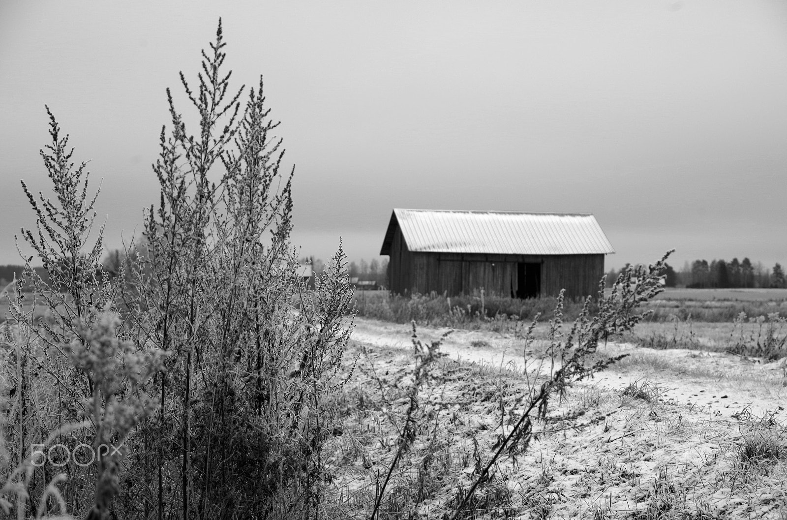Pentax K-1 sample photo. On the fields photography