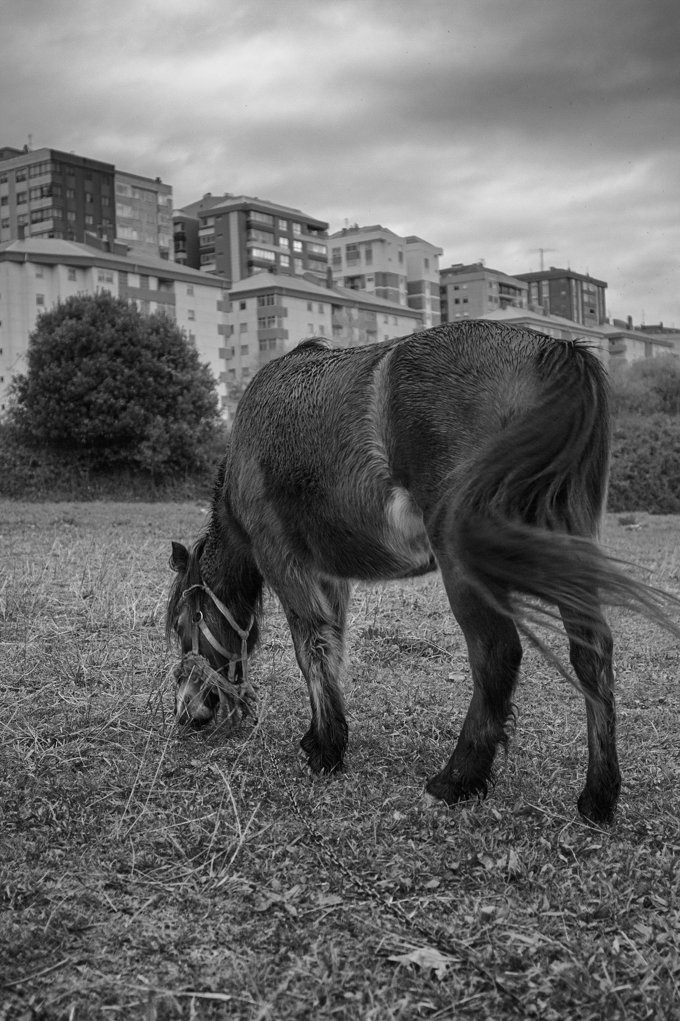 Canon EF 28mm F2.8 IS USM sample photo. Vigo photography