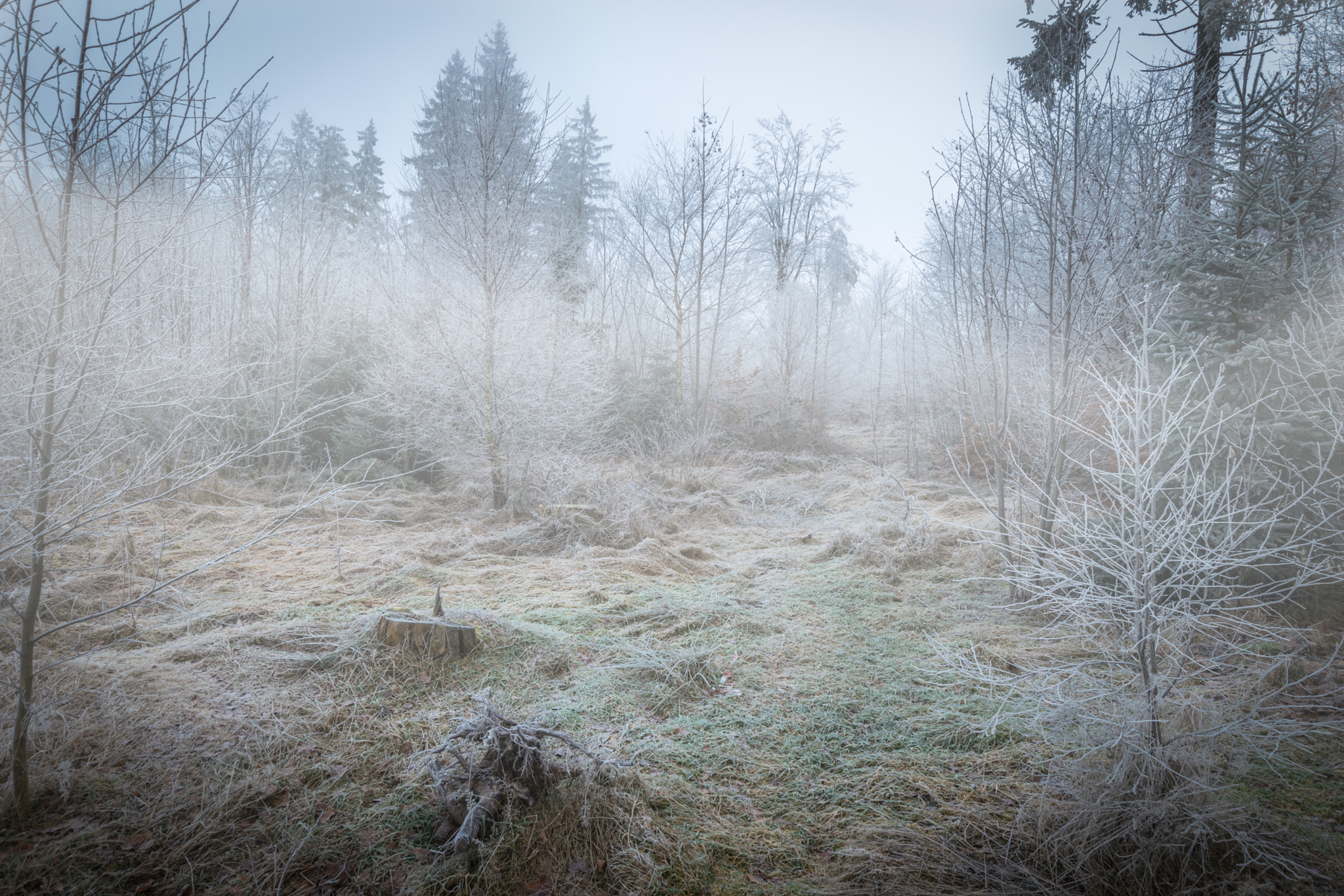 Nikon D3300 + Sigma 10-20mm F3.5 EX DC HSM sample photo. View of the morning mist photography