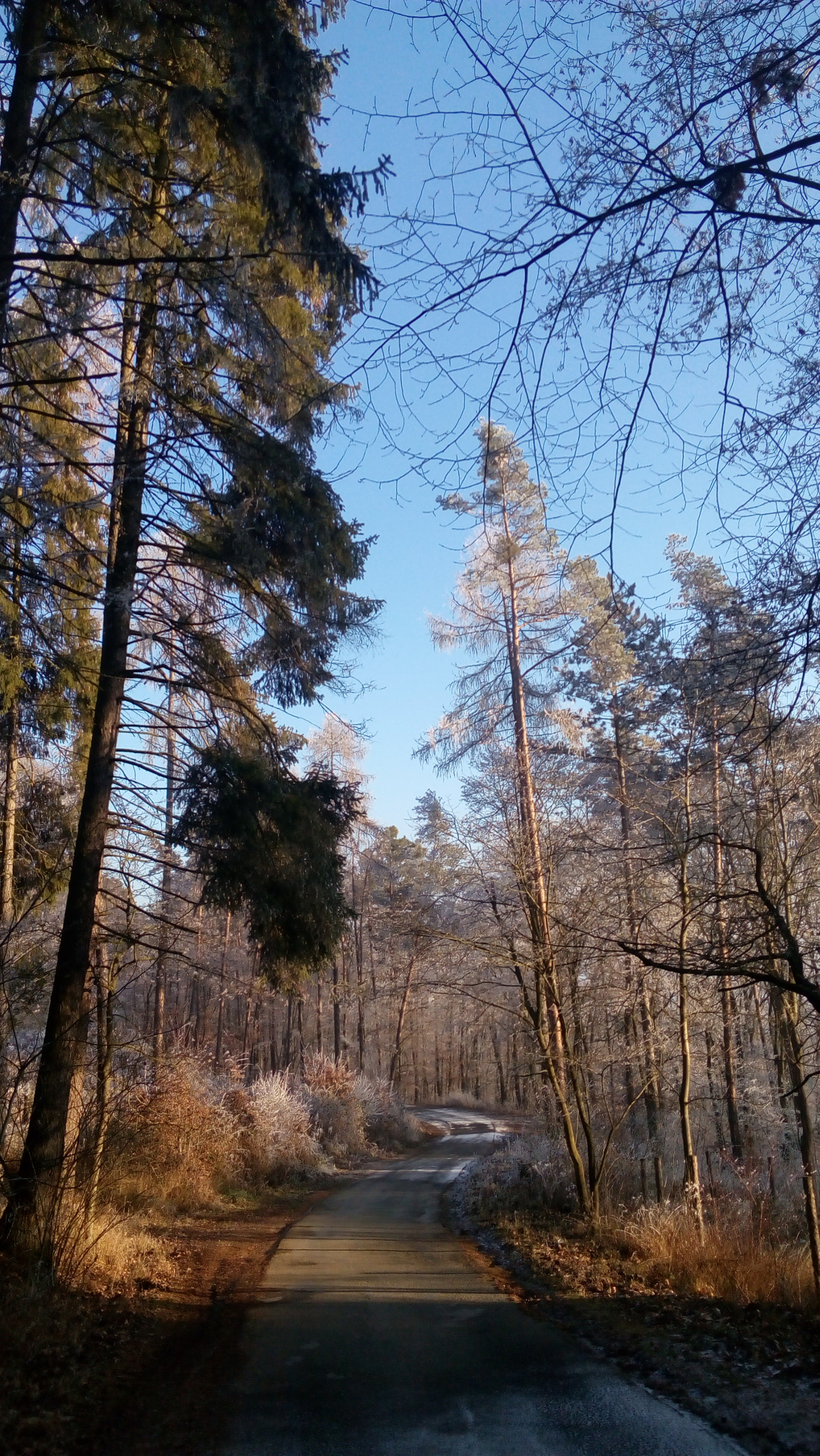 Lenovo P70-A sample photo