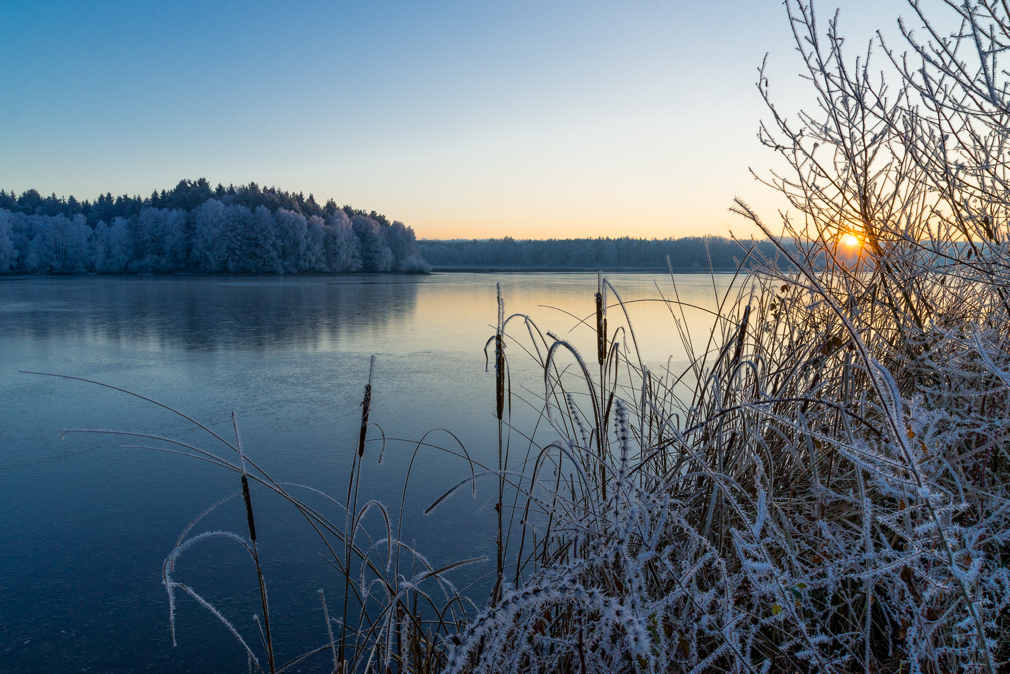 Nikon D600 + Sigma 24-105mm F4 DG OS HSM Art sample photo. Sonnenuntergang photography