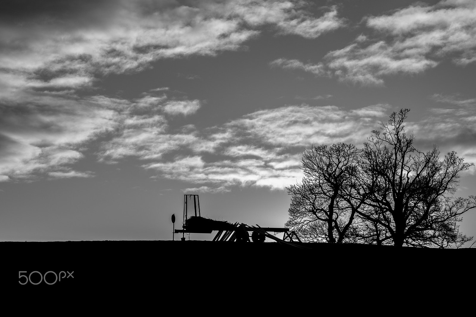 ZEISS Planar T* 50mm F1.4 sample photo. Kelso black and white tree photography