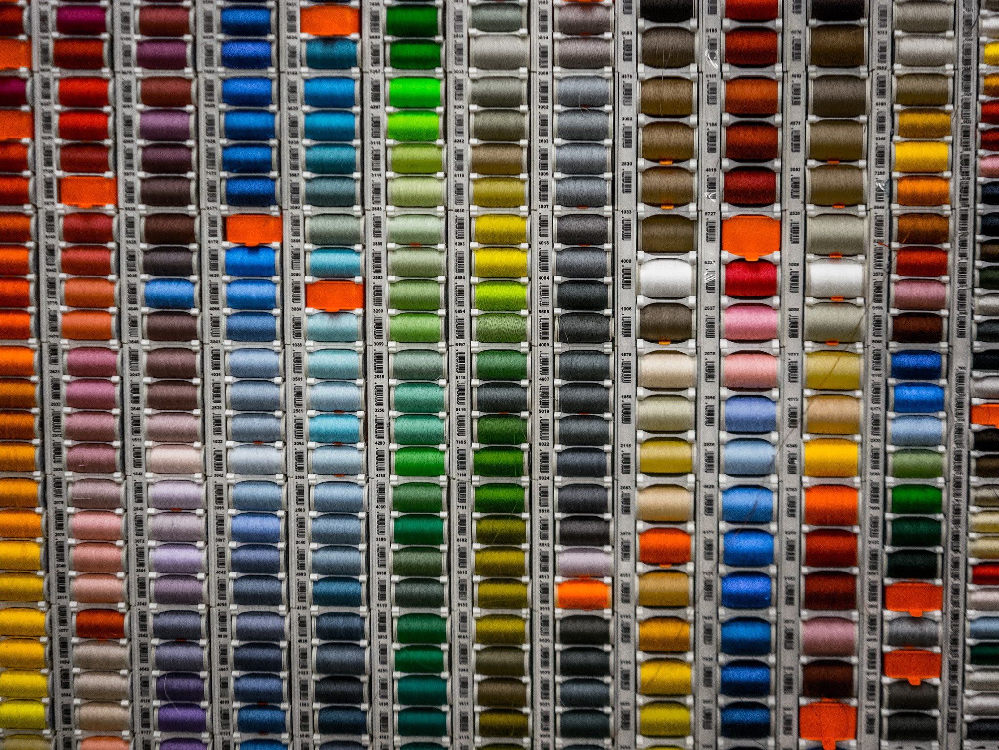 Panasonic Lumix DMC-GM1 sample photo. Reels of colour photography
