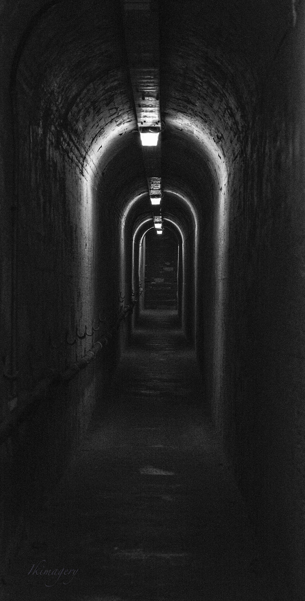 Nikon D4 sample photo. Rottnest tunnels photography