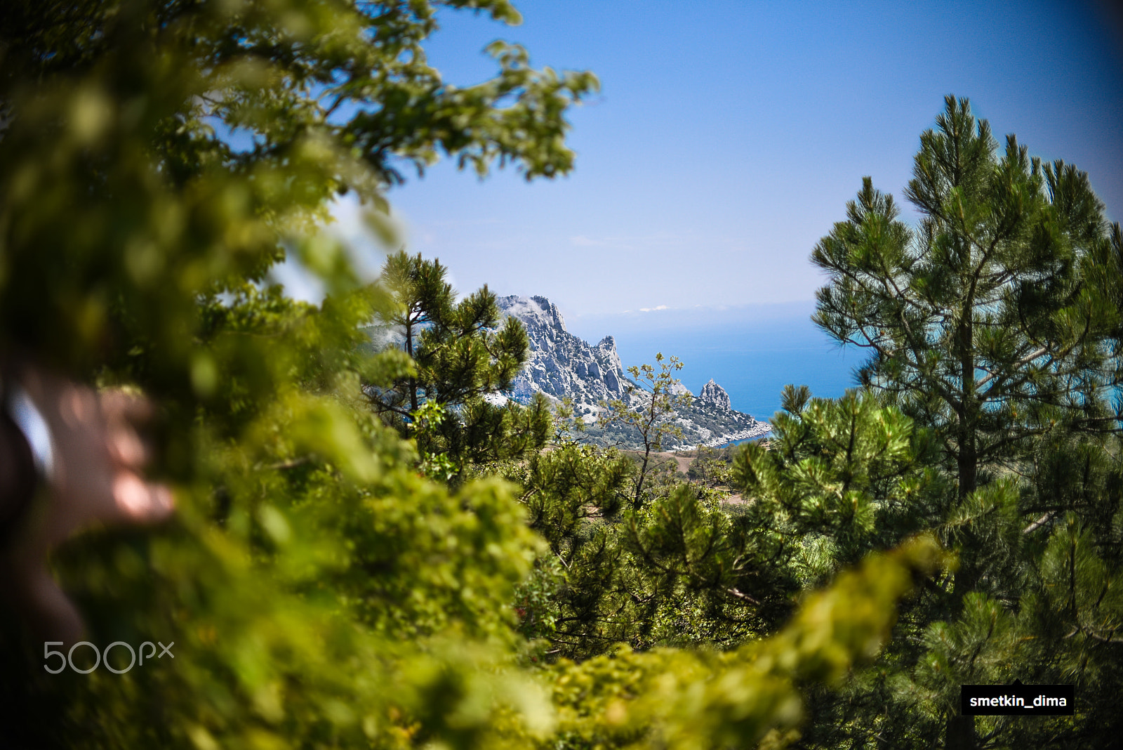 Nikon D750 + Nikon AF-S DX Nikkor 35mm F1.8G sample photo. Dsc photography