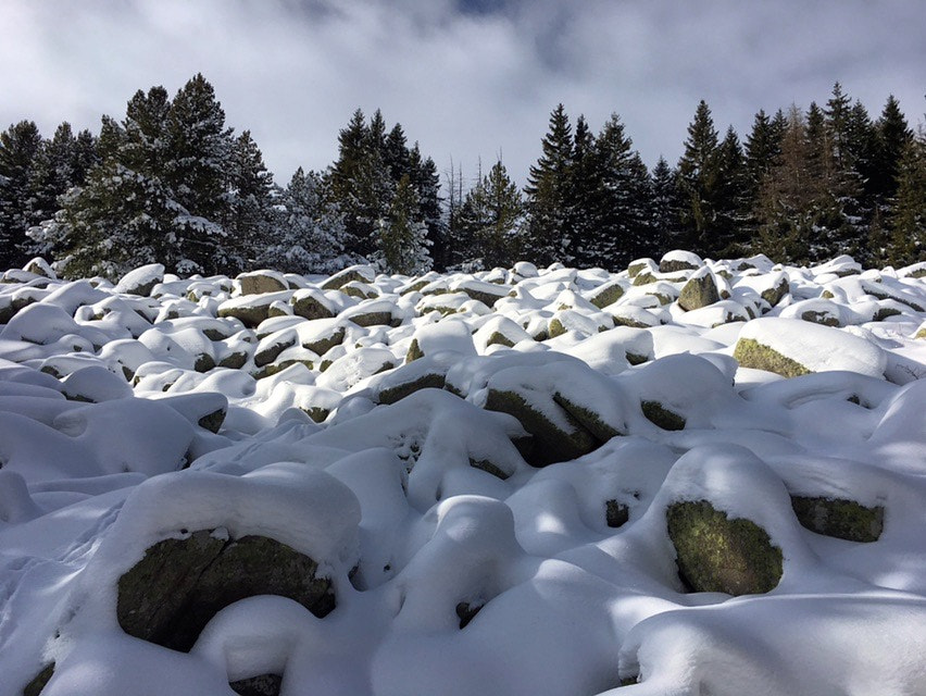 Apple iPhone + iPhone 6s back camera 4.15mm f/2.2 sample photo. The "moreni" in vitosha mountain. photography