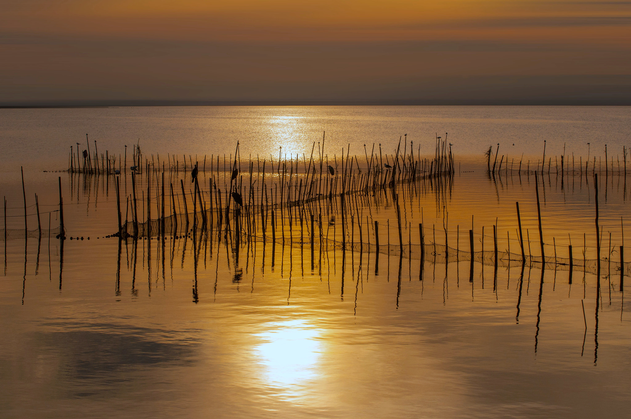Nikon D300 sample photo. Aguas de oro photography