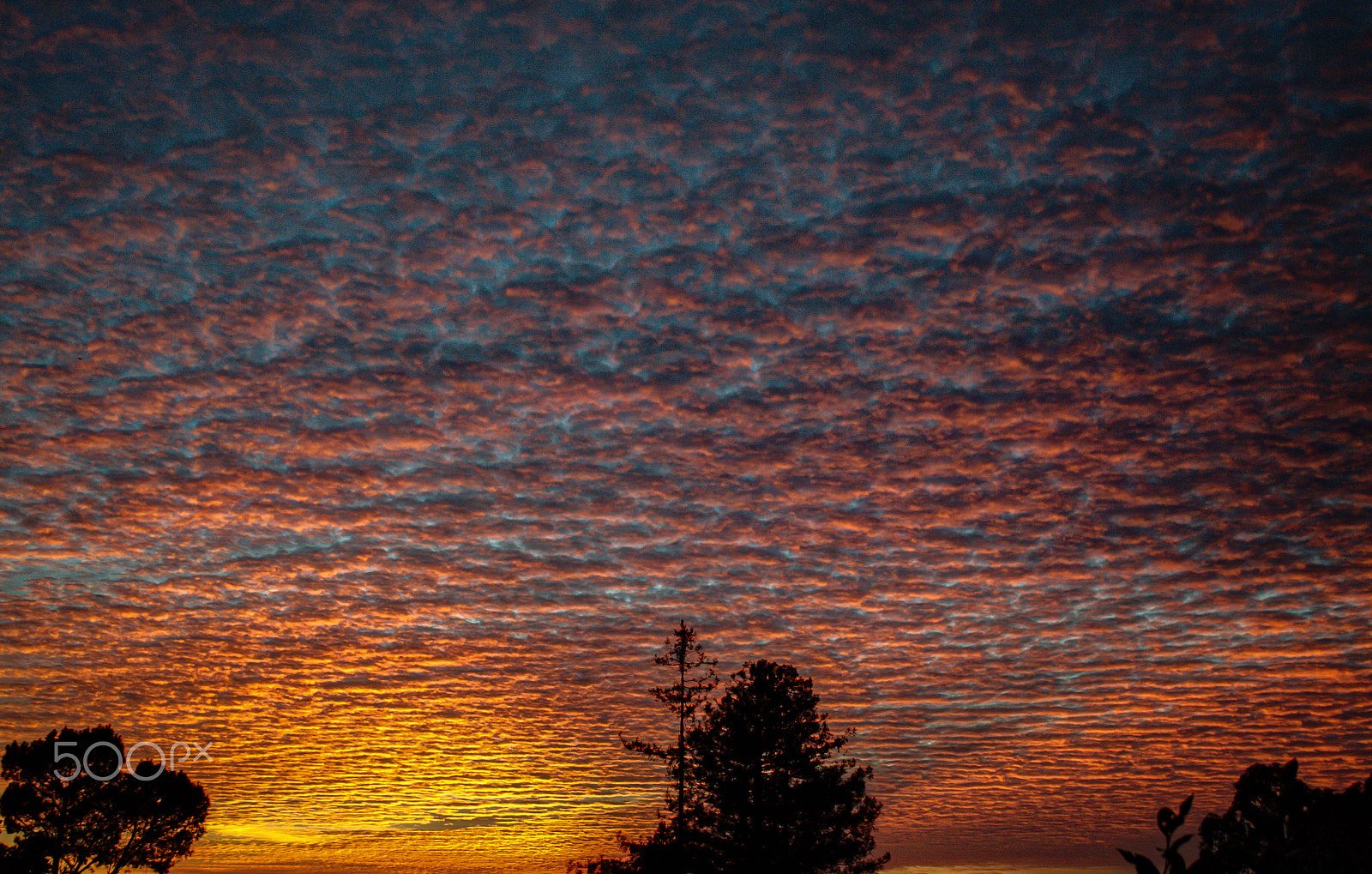 Canon EF-S 18-55mm F3.5-5.6 IS sample photo. Sunsetaholic photography