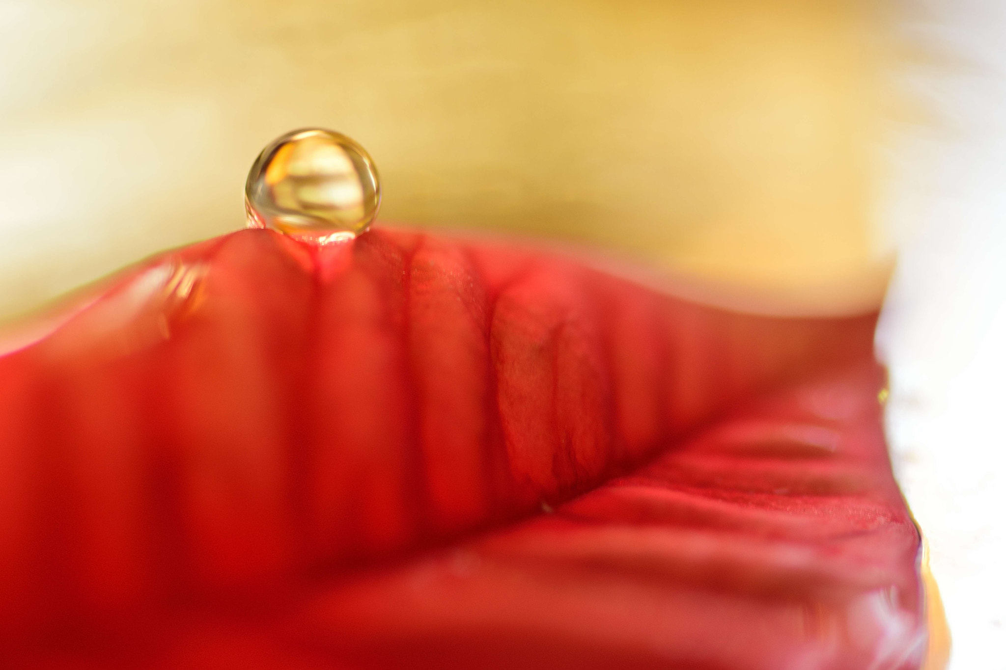 Sigma 105mm F2.8 EX DG OS HSM sample photo. On the border photography