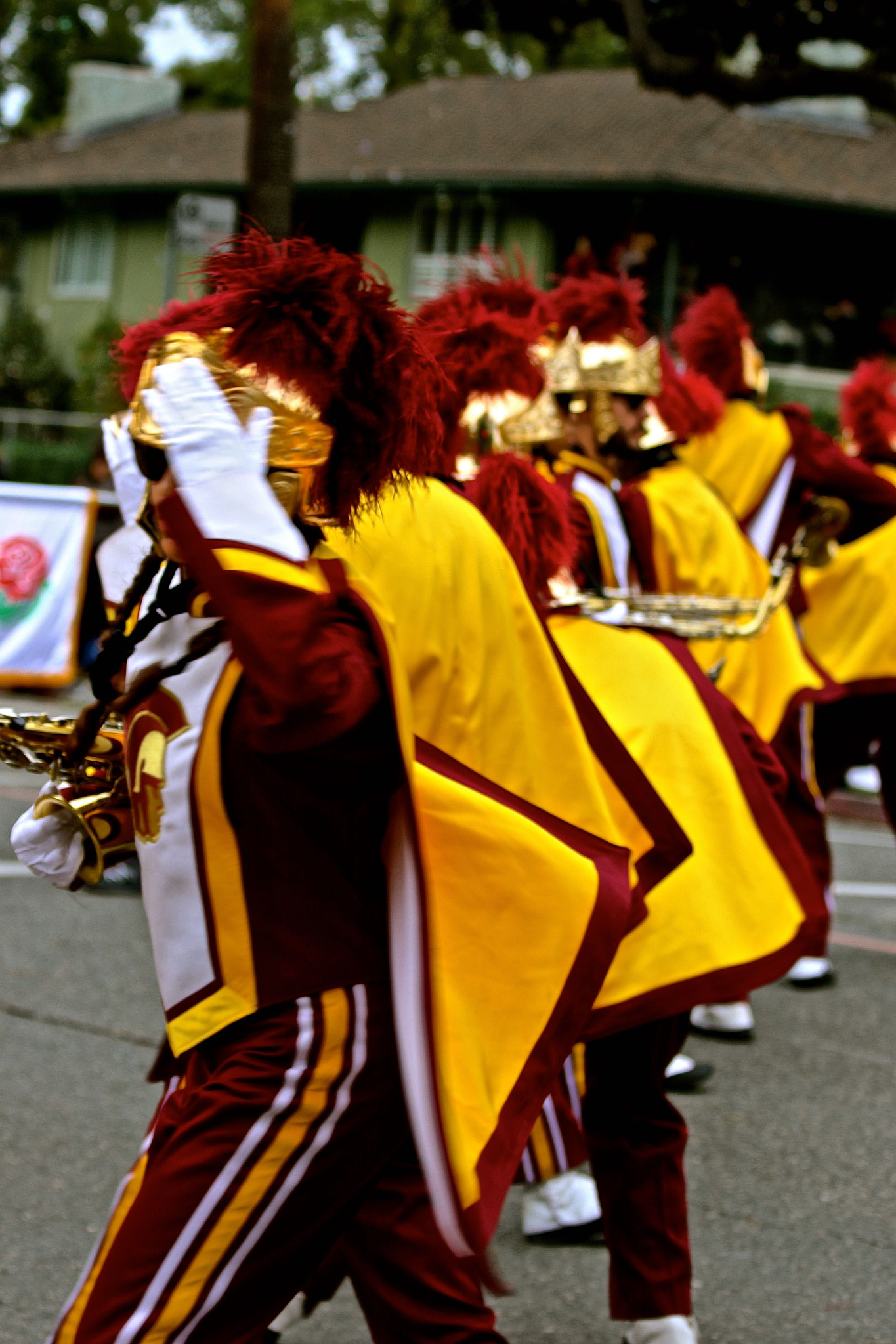 Canon EF 70-300mm F4-5.6 IS USM sample photo. Fight on! photography