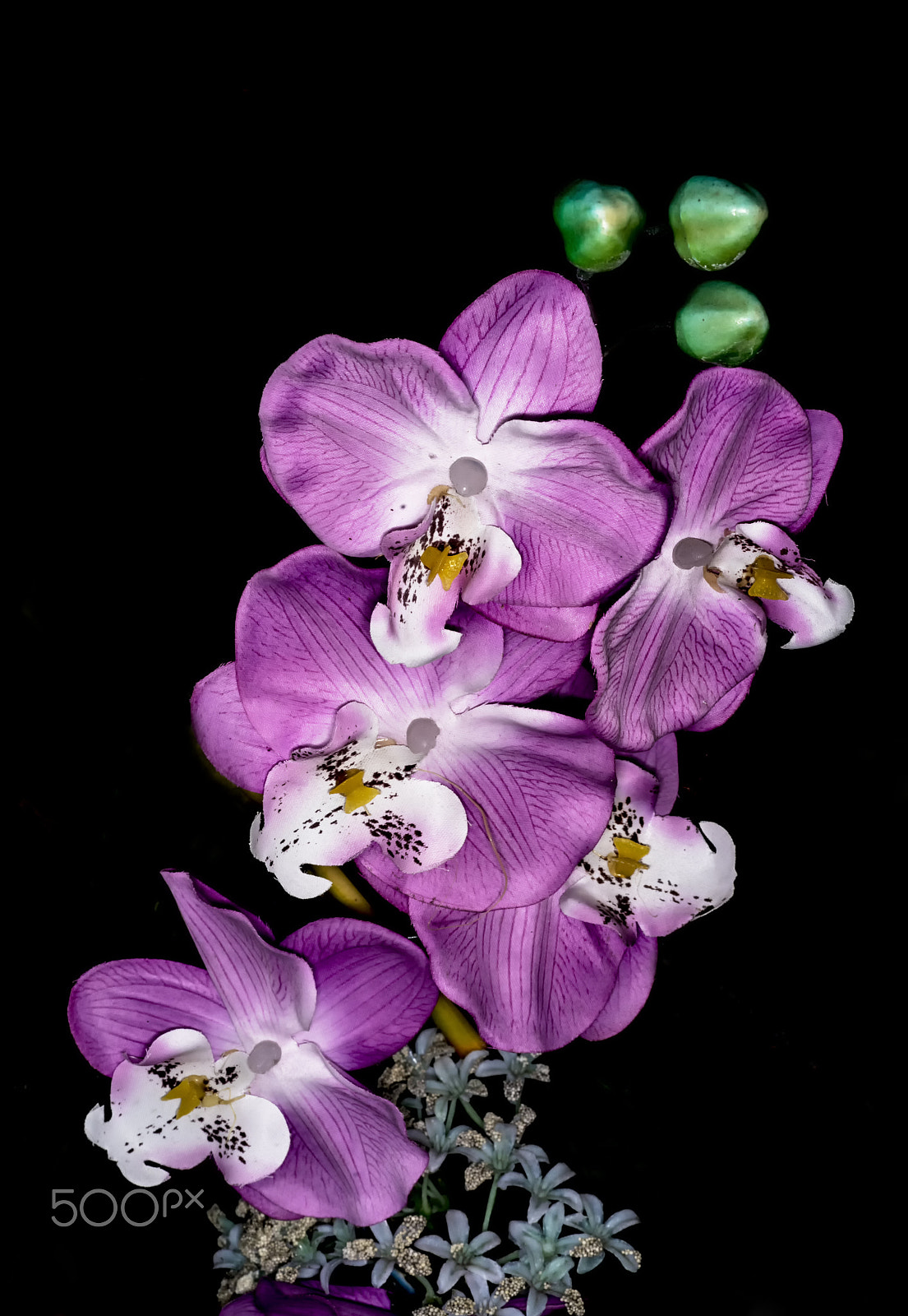 Sony a7R + Sony FE 90mm F2.8 Macro G OSS sample photo. Beautiful artificial orchid photography