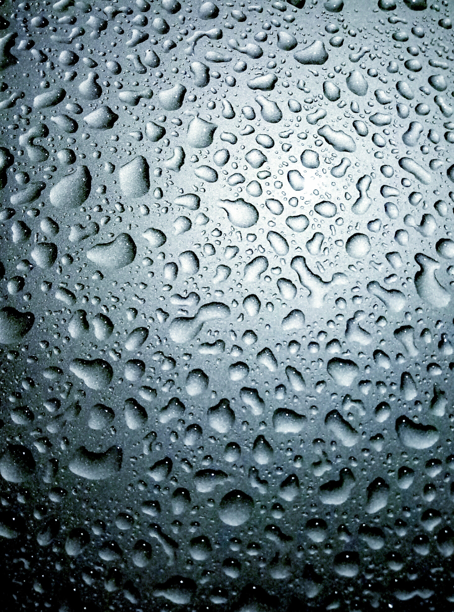 Meizu M3s sample photo. Rain������������������������������� photography