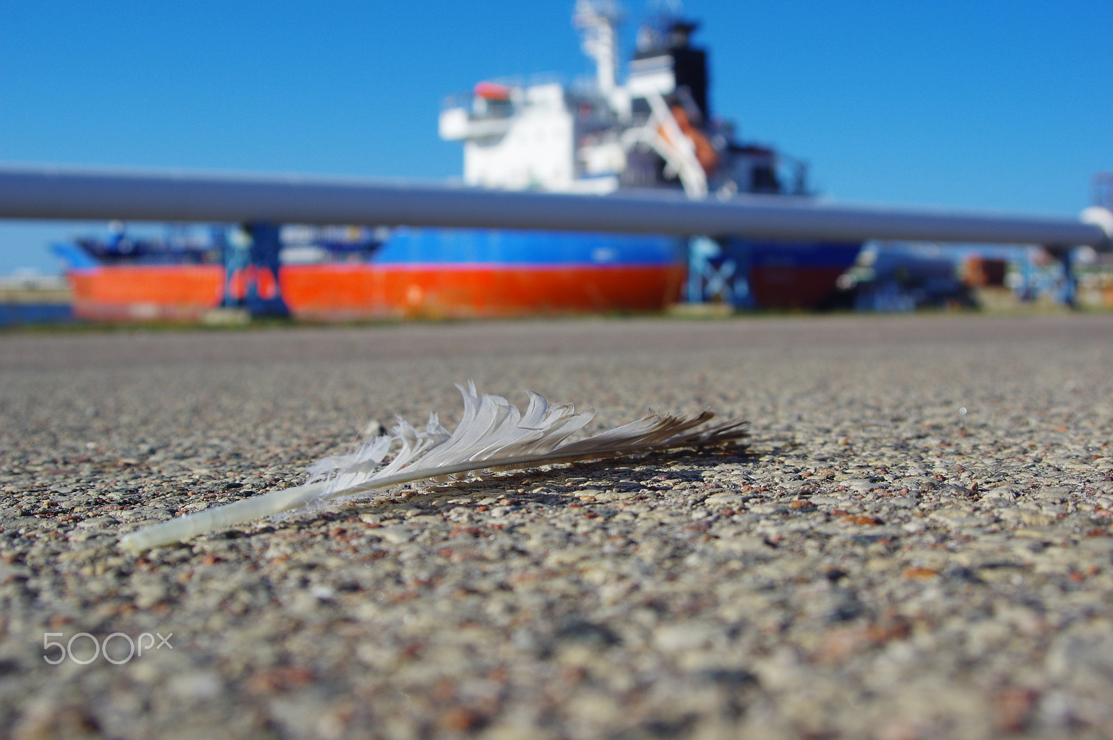 Sigma 17-35mm F2.8-4 EX DG sample photo. Feather photography