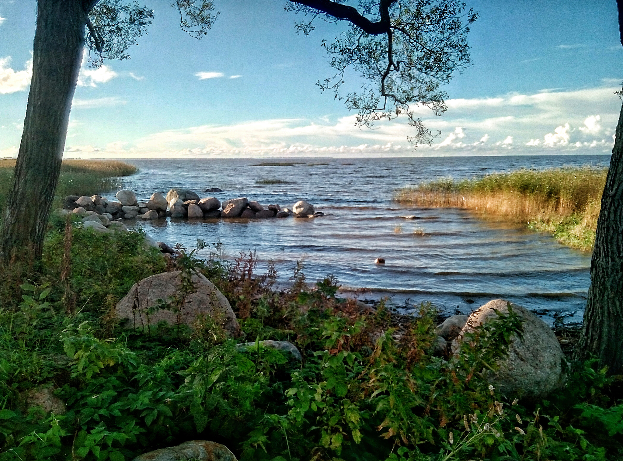 Meizu m2 sample photo